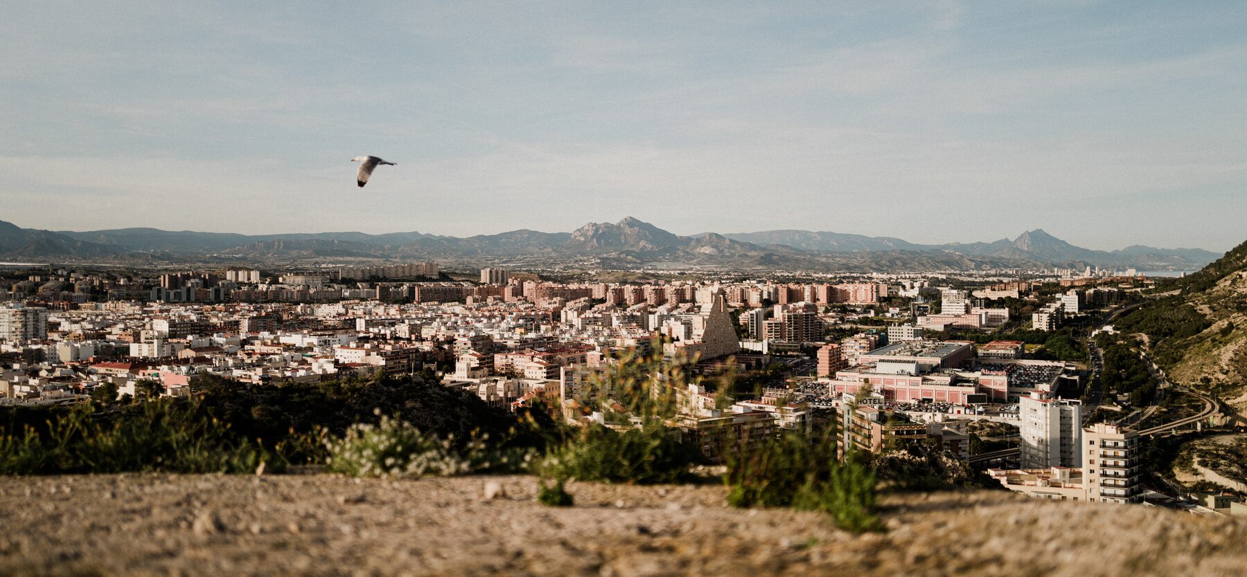 A town spread across a plain below distant mountains, a single bird overhead.