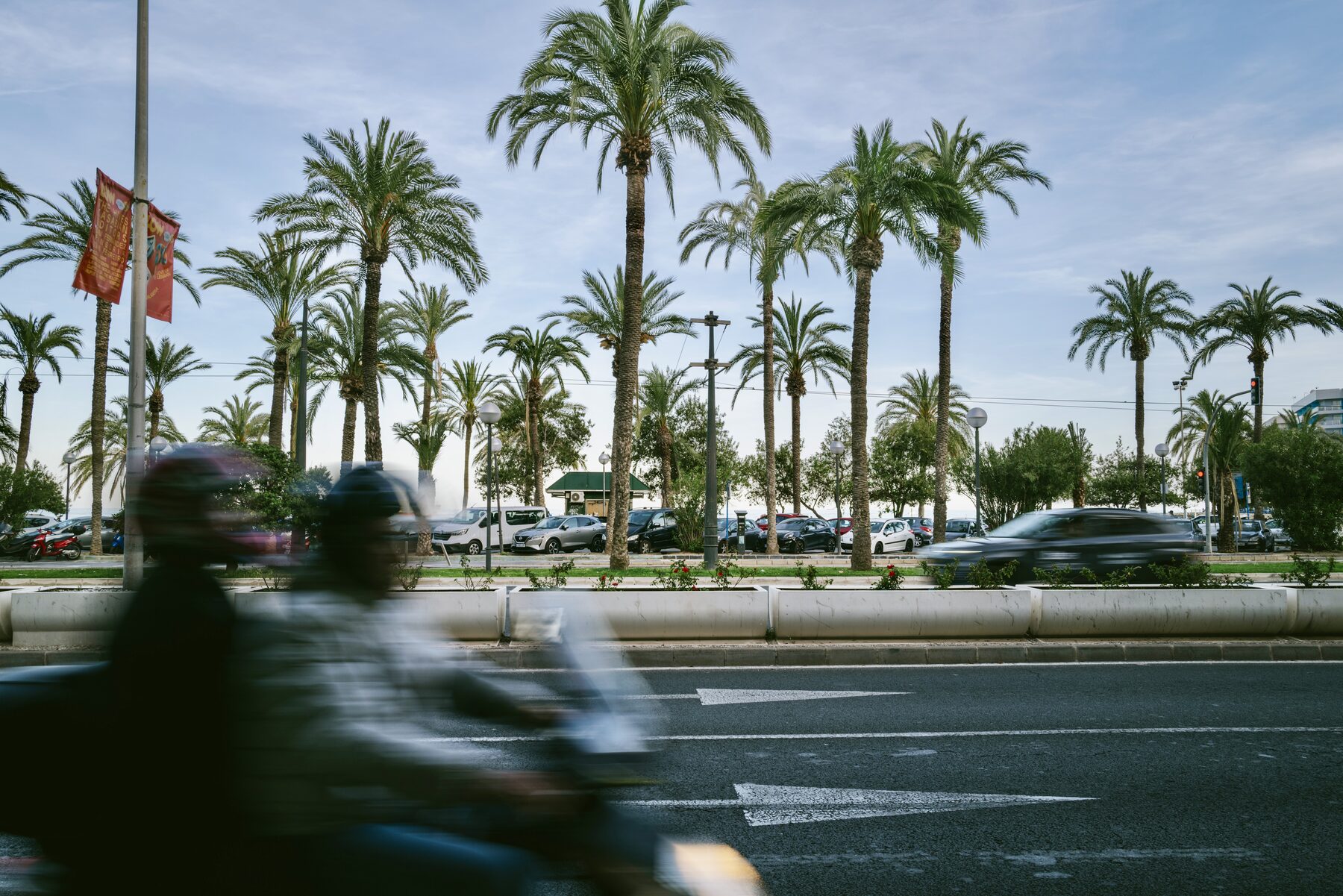Two riders on a scooter blurring past a row of tall palm trees.