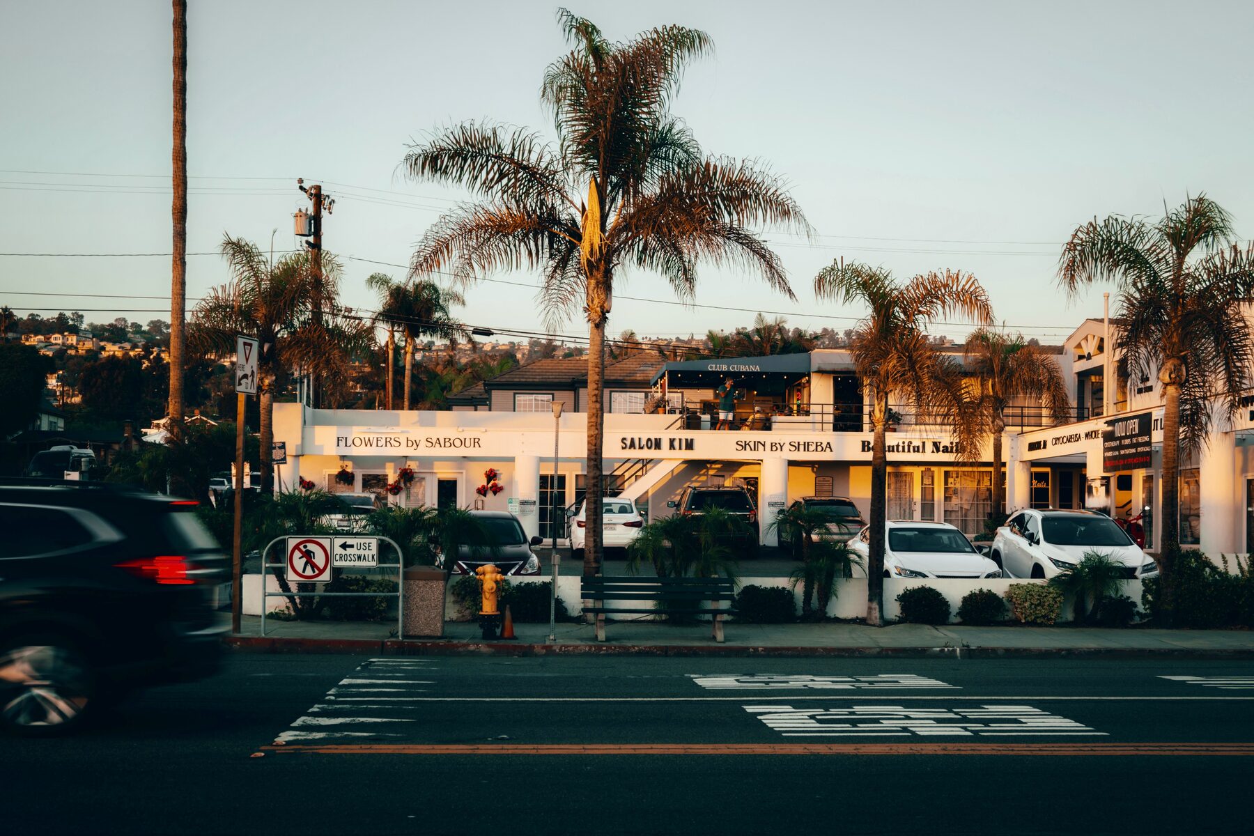 A palm-lined street of low shopfronts with cars at the kerb in late light.