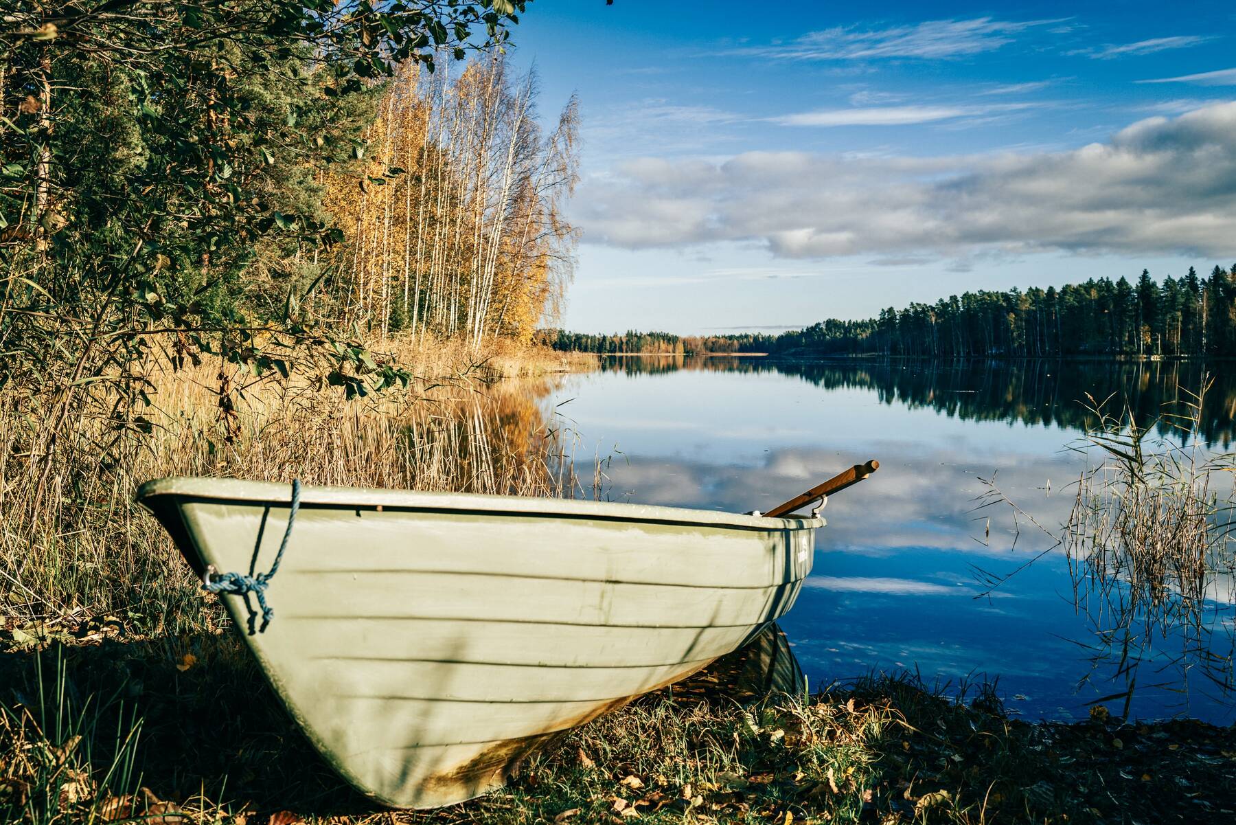 A white rowboat on a lake bank, still water reflecting birches and clouds.